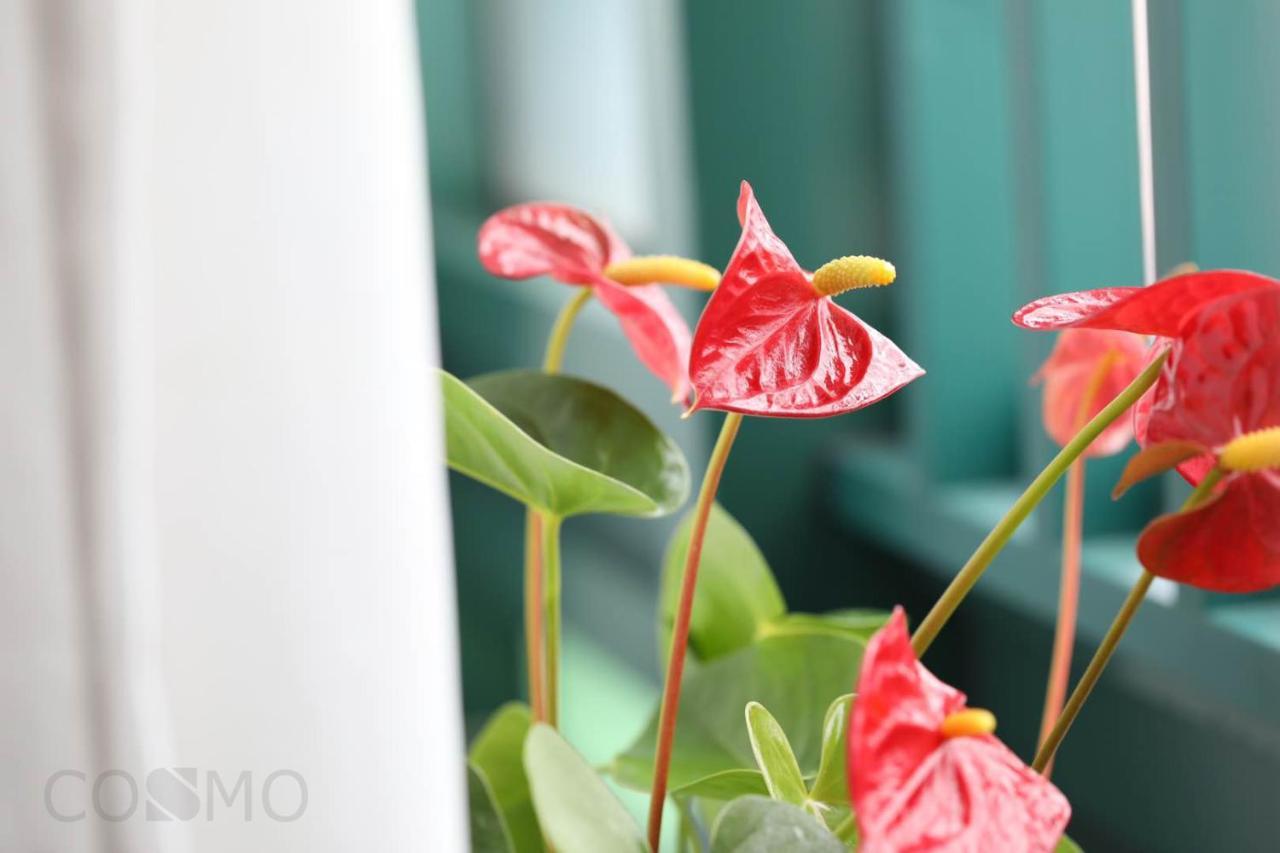 Shanghai Cosmo World Union Service Apartment Екстер'єр фото